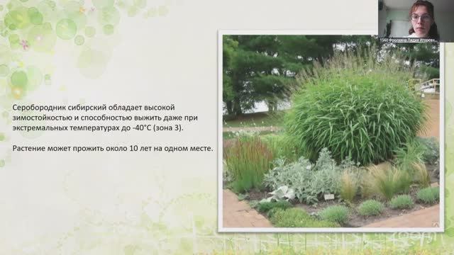 Ландшафтный Дизайн. Лидия Фролкина