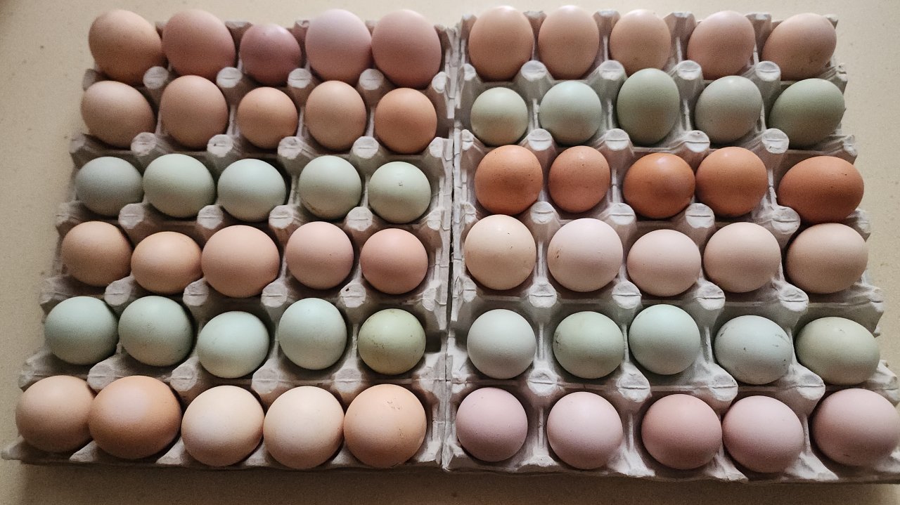 А дни стали холоднее