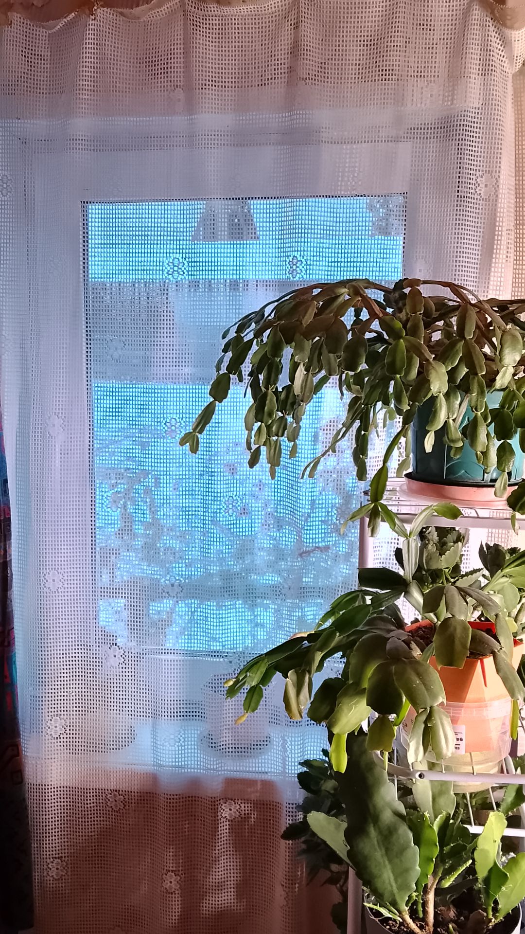 Первый снег