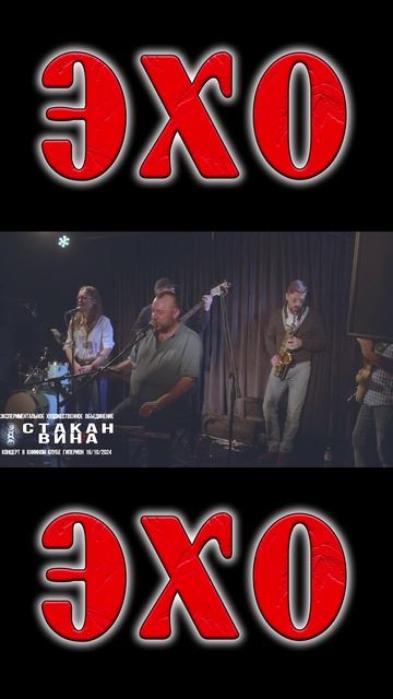 Я горя слишком много видел #shorts #ehomusic #стаканвина  #музыкальность #music