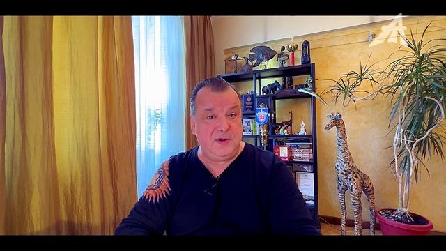 Некуда лететь