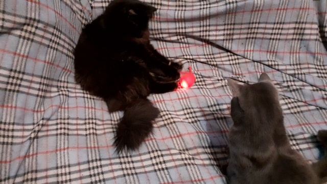 Прикольная игрушка.