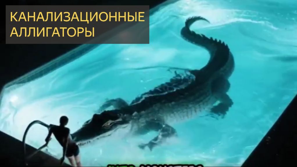 Канализационные аллигаторы Манхэттена