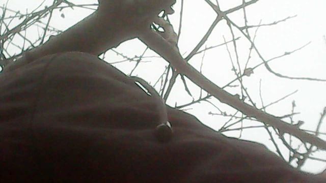 Во исполнение заповеди Христовой "почитай отца и мать"- помогаю маме в саду