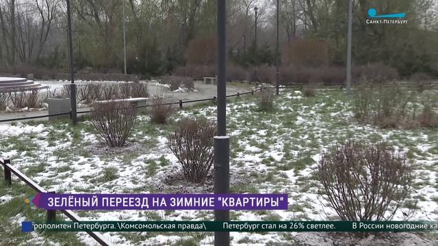 Из сада-трансформера  - на зимние квартиры