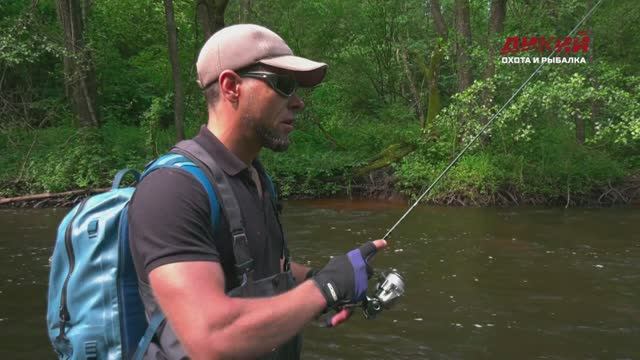 Рыбалка в Беларуси. Ручьевая форель