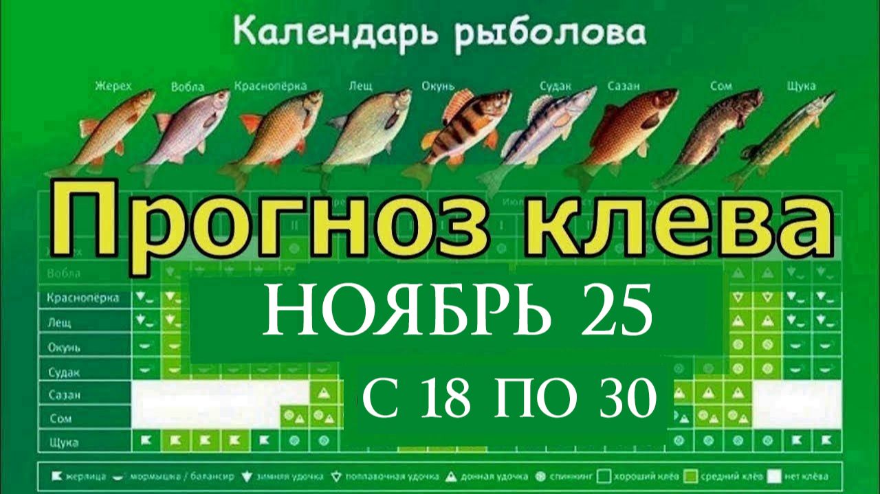 Календарь клева рыбы на Ноябрь 2025