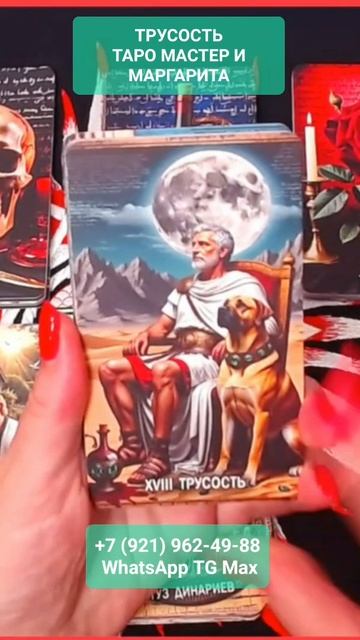 ТРУСОСТЬ ТАРО МАСТЕР И МАРГАРИТА #онлайн #таро #shorts #светланаведа