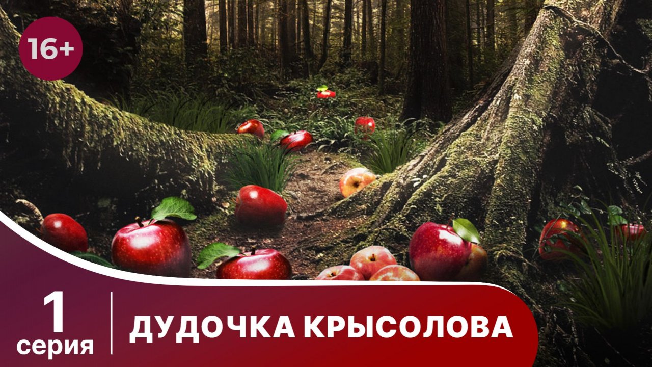 Дудочка крысолова. Серия 1. Детектив. Смотреть онлайн