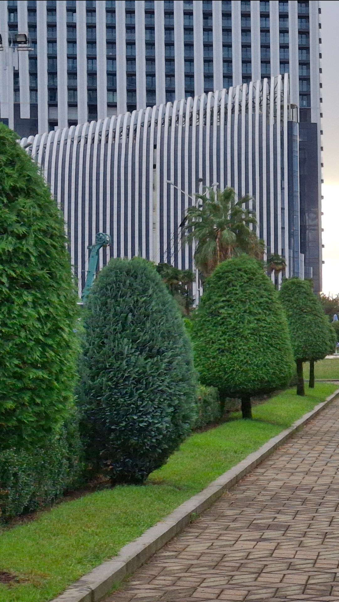 Кипарисовая аллея в Батуми