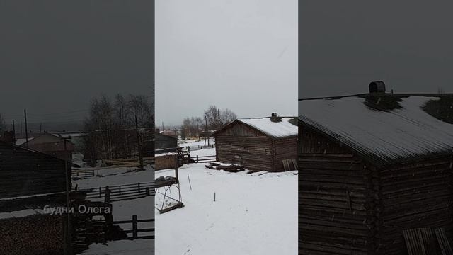 Сходил в магазин. Погода жесть.