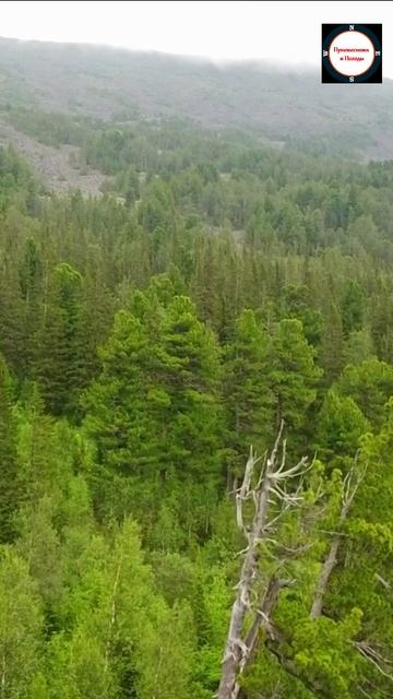 Подножие Конжаковского камня. Поляна Художников