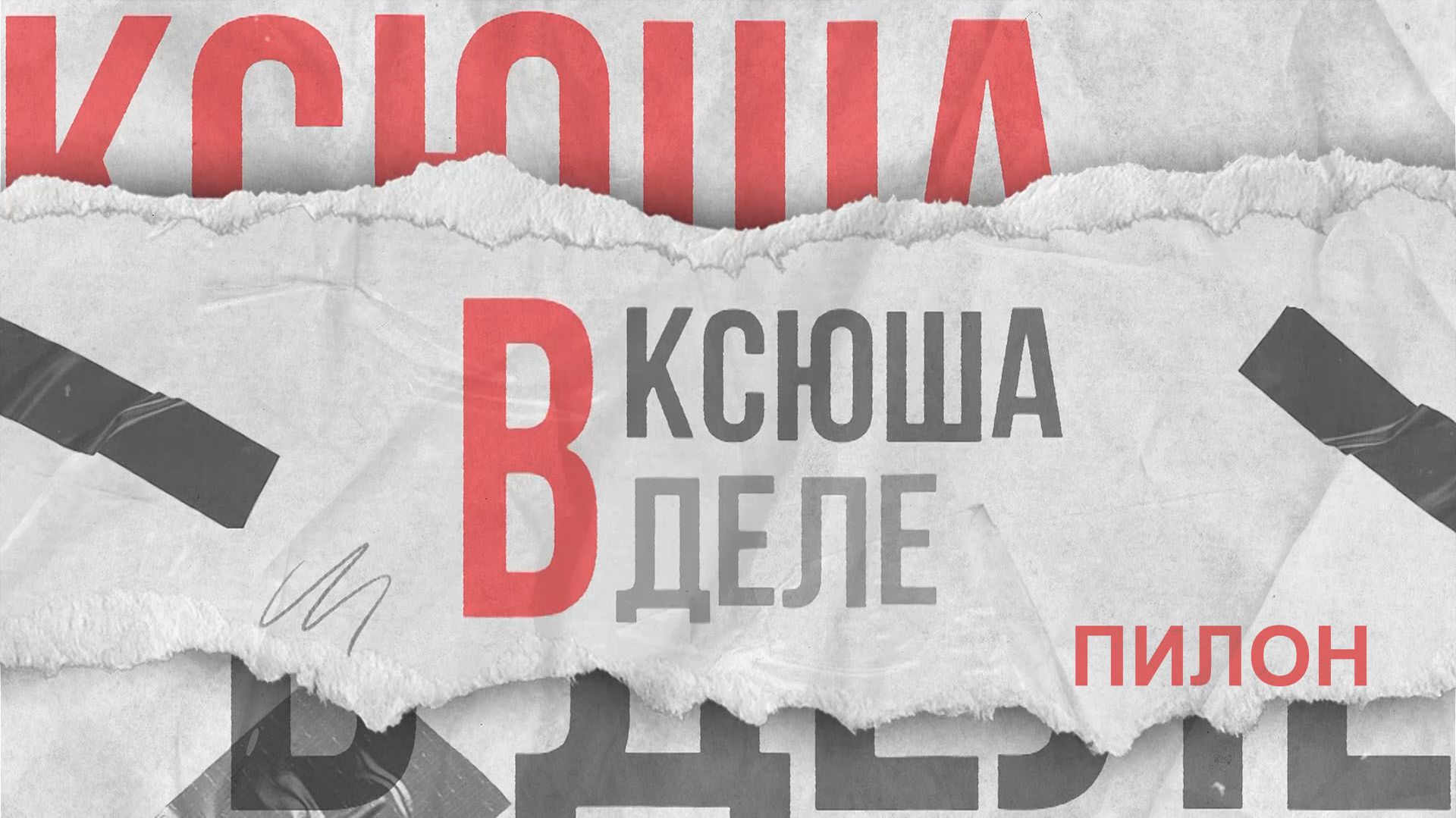 Ксюша в деле | Пилон