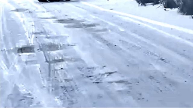 Встреча с медведями на Камчатке