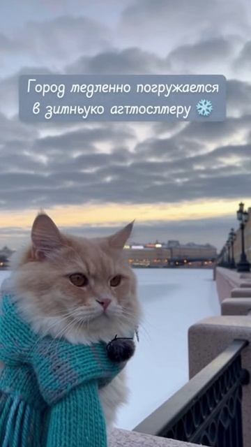 Прогноз погоды в Санкт-Петербурге на 19.11.2025