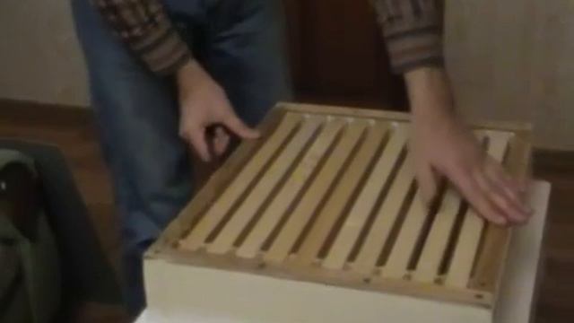 Улей из пенополистирола-как правильно эксплуатировать?(Архив)