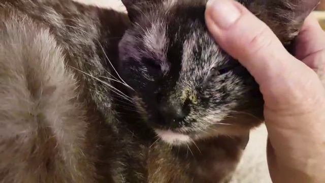 Леся и Сёма - Подарок от мамы