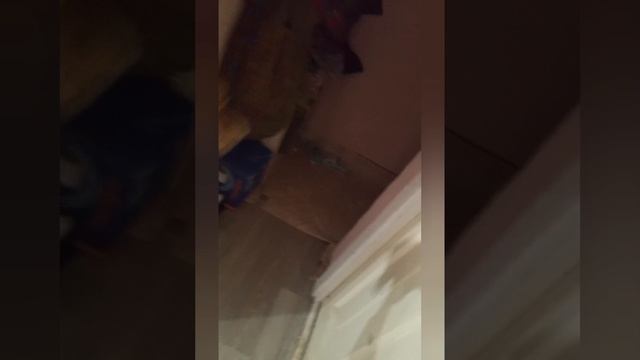 ГРЕНДПА ПРЕСЛЕДУЕТ ТИГРУ В ЗАБРОШЕННОМ ДЕРЕВНЕ (ЧАСТЬ 5)