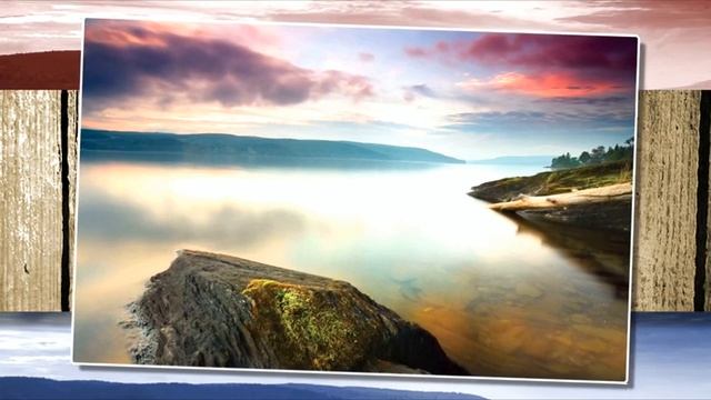 Mr.Nobody - Дух Леса