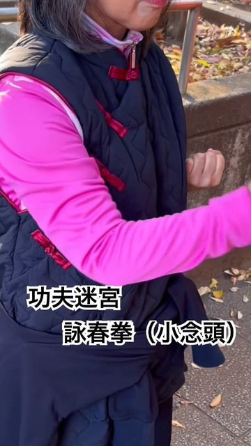 Лабиринты Кунг-фу - Кунг-фу Мэйкю - Вин-Чунь - Маленькая идея