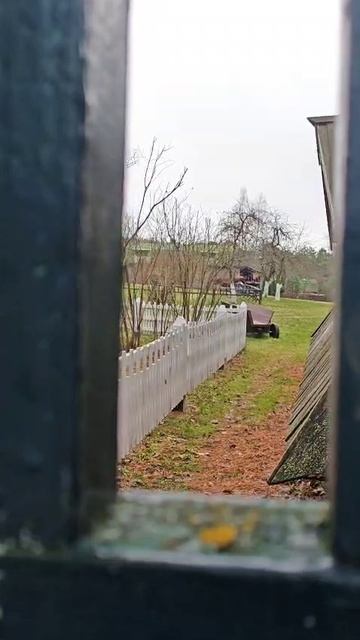 Курва конь))) Усадьба Поленово.