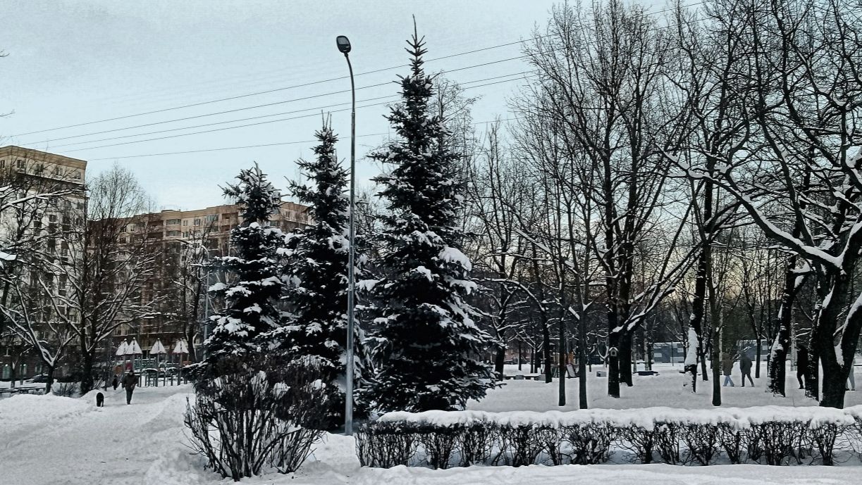 Малоохтинский парк (Санкт-Петербург)