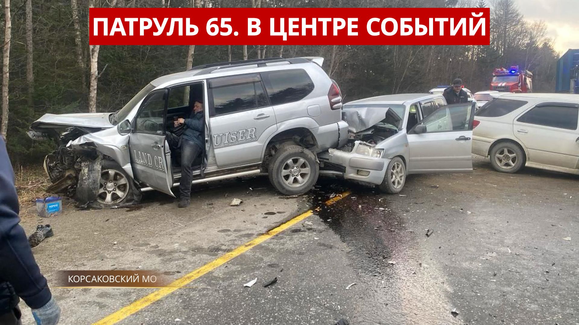 Патруль 65: Водитель сбил пешехода на «зебре», массовое ДТП, медведи атакуют Северо-Курильск