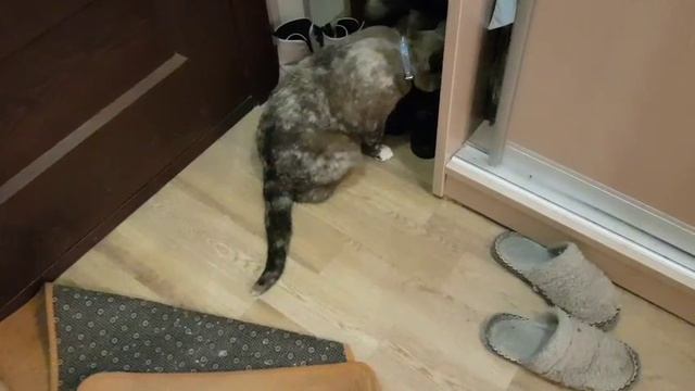 Леся и Сёма - "Это здесь лишнее"!