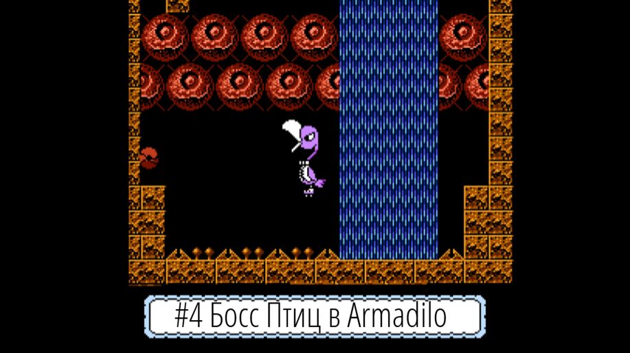 #4 Босс Птиц в Armadilo