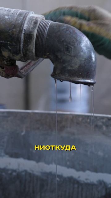 Почему промывка двигателя — это ловушка для автовладельцев?