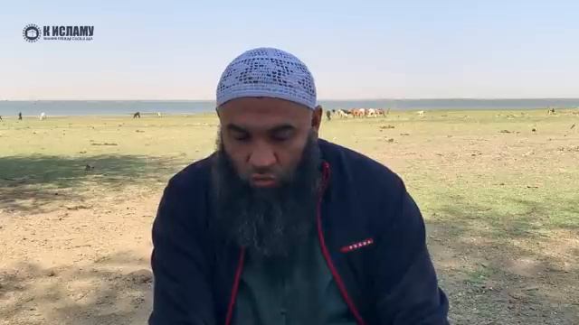 266 Мясо от каких христиан и иудеев дозволено в пищу Сура 5 аль-Маида аят 5 Тафсир аль-Багауи