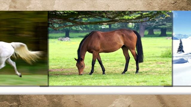 Moments Of Life 241 (Psy Chill Mix)