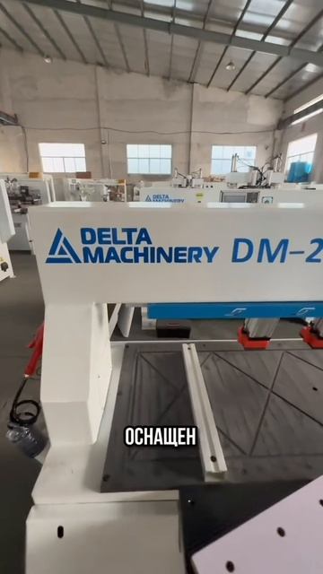 ТЕХНИЧЕСКИЙ РАЗБОР: Станок DELTAMACHINERY DM-2D-4 для торцевой и пластевой обработки