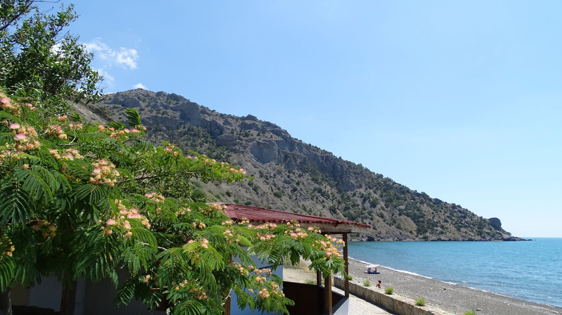 Поднимись и удивись. Караул Оба в Новом Свете.