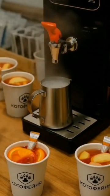 Кото кофейня