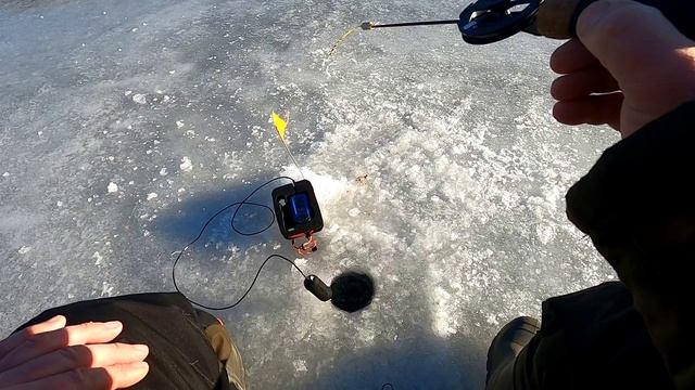 Рузское водохранилище. Рыбалка выходного дня