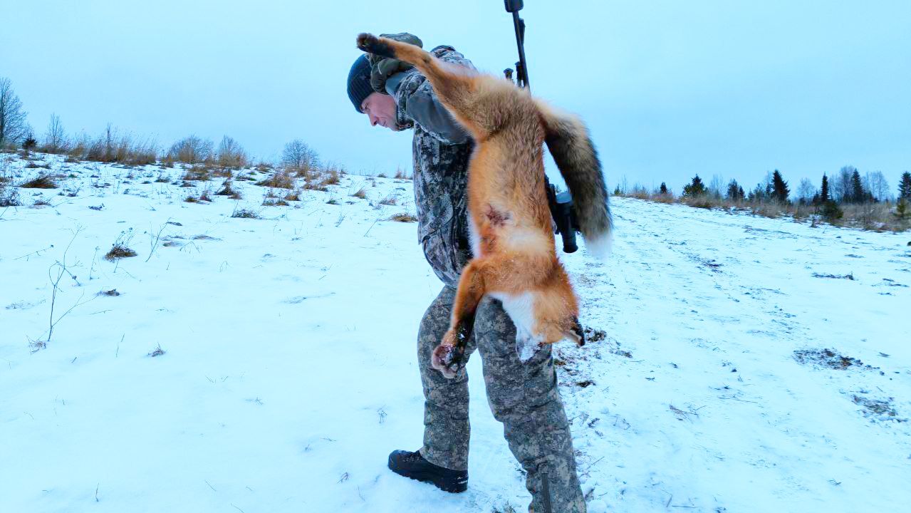 ВИДЕО НЕ ДЛЯ ДЕТЕЙ / СПАСЕНИЕ ЗАЙЦА / ВЫСТРЕЛ ПРЯМО В СЕРДЦЕ / ОХОТА НА ВРАГА ДАЧНИКОВ.