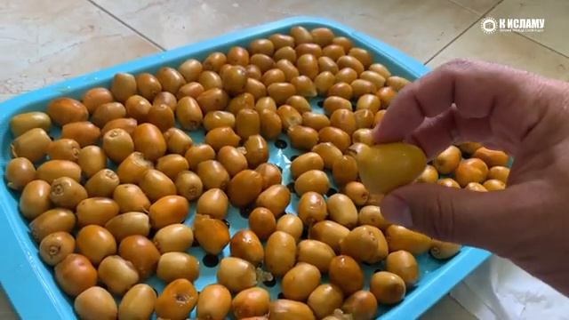 Как кушать финики по Сунне Ринат Абу Мухаммад