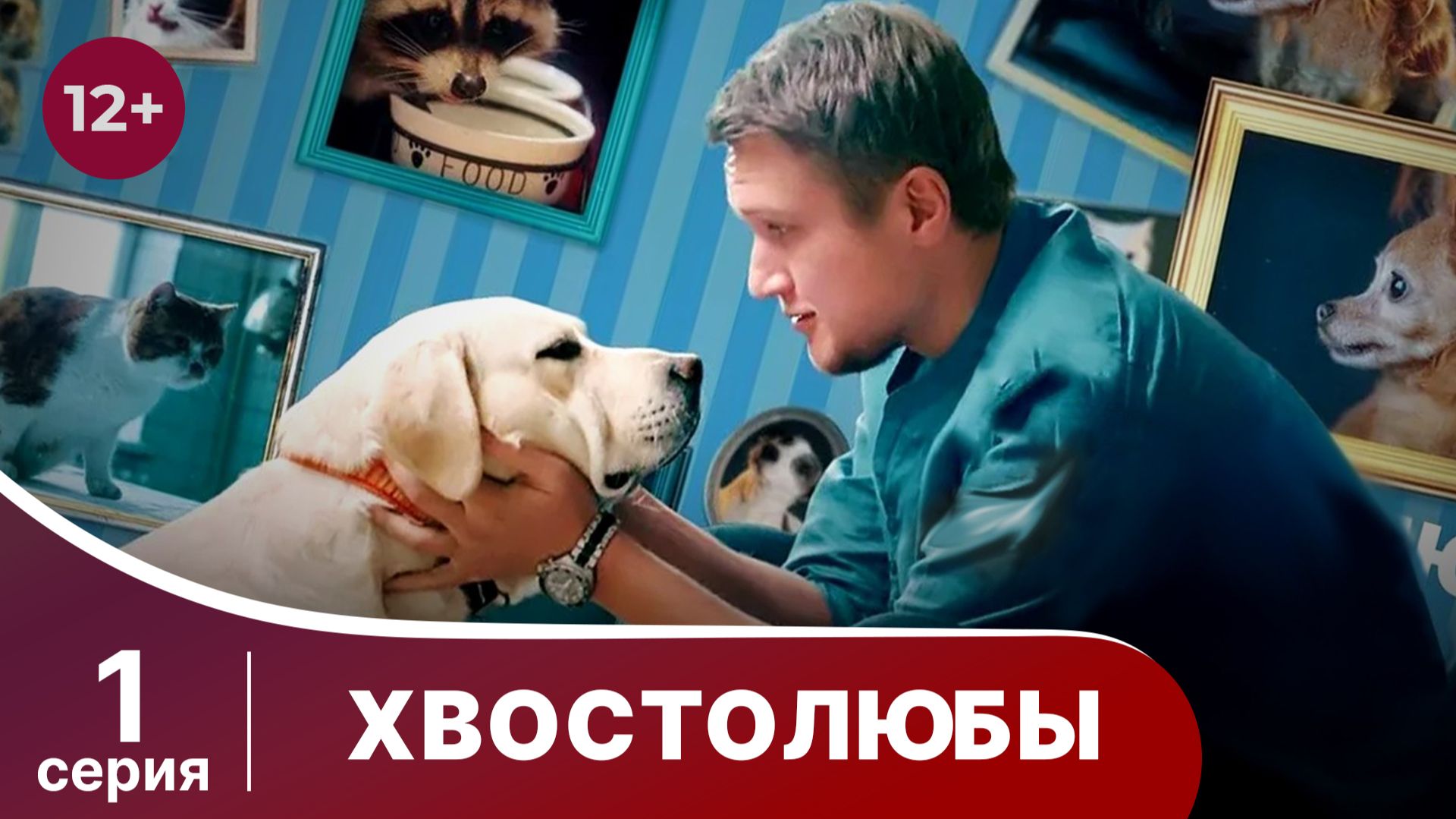 Хвостолюбы. Серия 1. Мелодрама. Смотреть онлайн