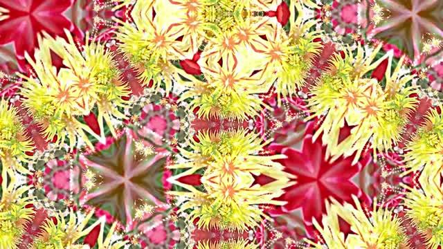 Видеофоны! Видеофон Осенняя цветочная фантазия 4 от Киностудии Мудрого Кота Тимофея!