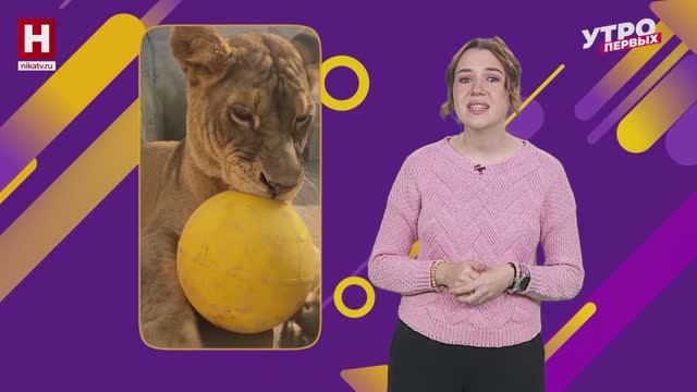 Лучшие видео недели | В ТРЕНДЕ