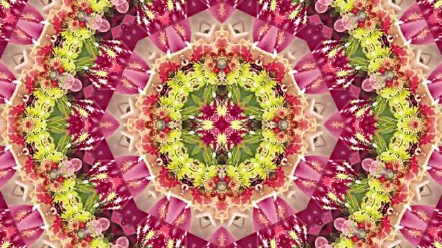 Видеофоны! Видеофон Осенняя цветочная фантазия 6 от Киностудии Мудрого Кота Тимофея!