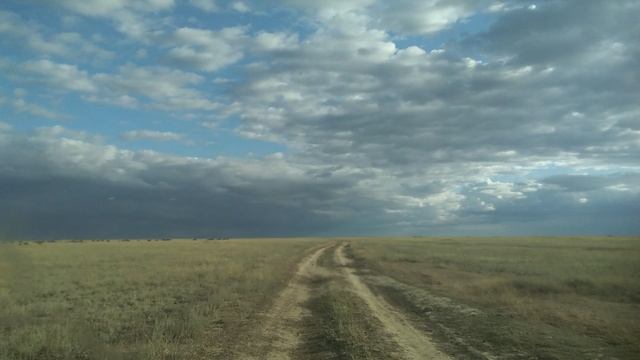 Сайгаки у исчезнувшего хутора Коржавин, Александрово-Гайский район.