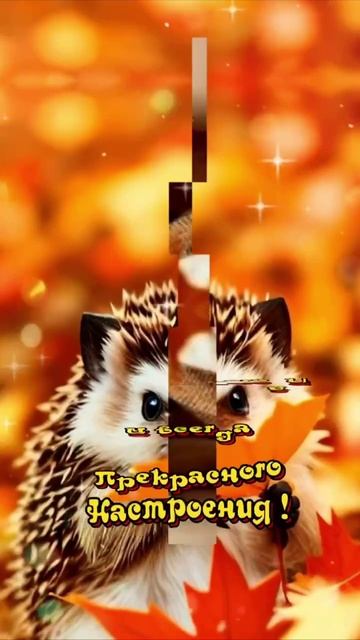 С пятницей!.  Музыкальная открытка.