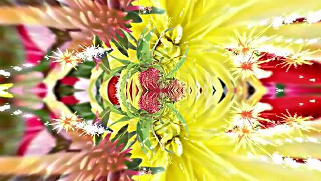 Видеофоны! Видеофон Осенняя цветочная фантазия 3 от Киностудии Мудрого Кота Тимофея!