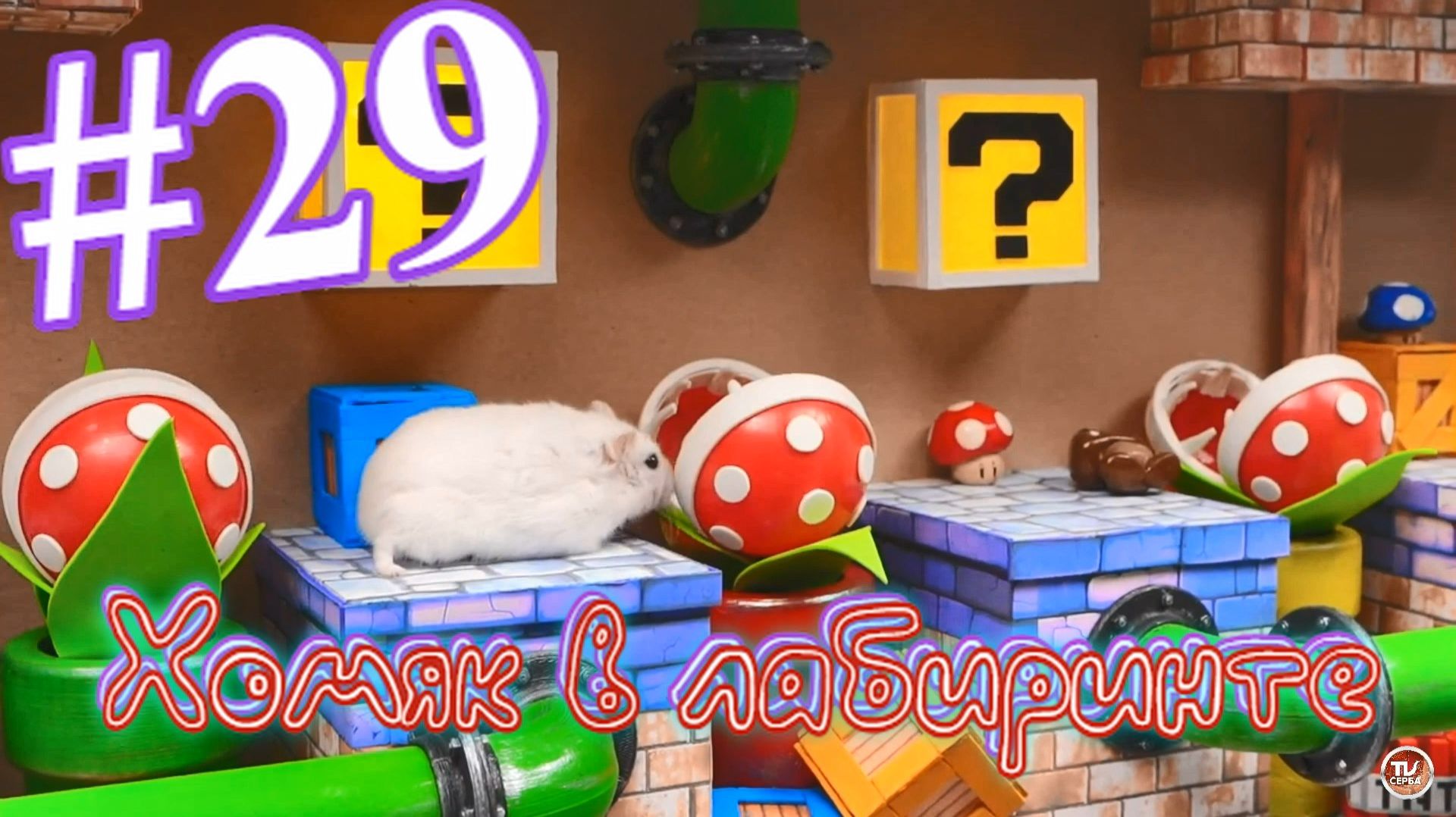 Хомяк в лабиринте (29 серия)