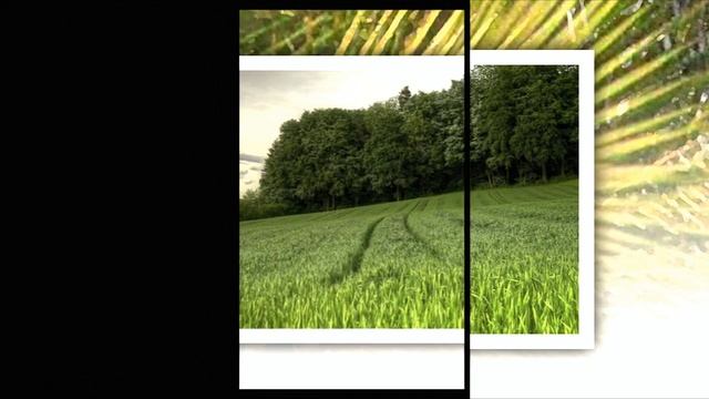 2Illusions - Сказка