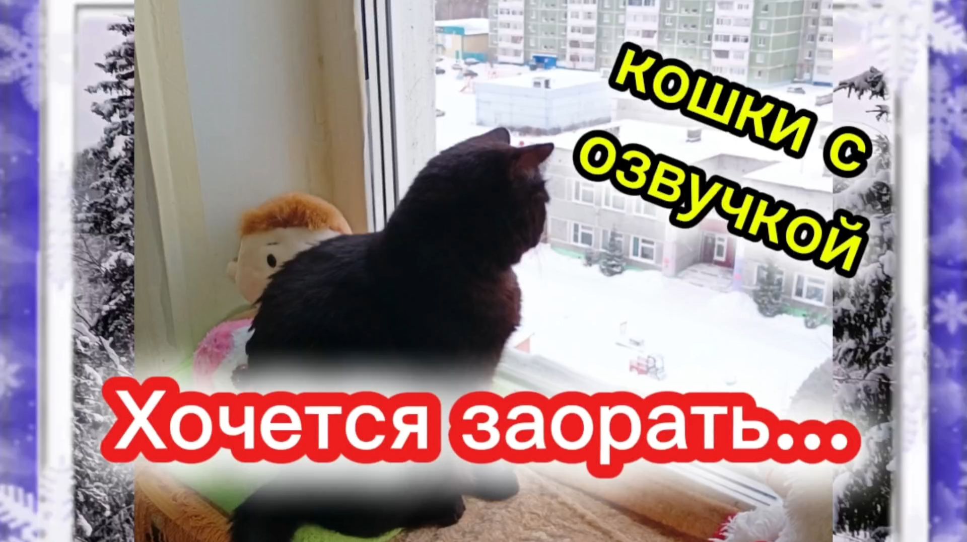 Кошки с озвучкой.