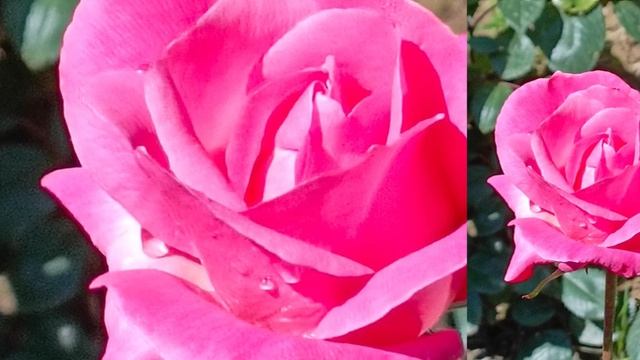 Я принимаю жизнь, какая есть, на всё, как говорится, Божья воля. Жемчужина мысли.