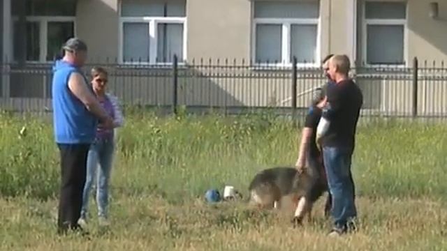 BH 28_06_2014 .....1 часть